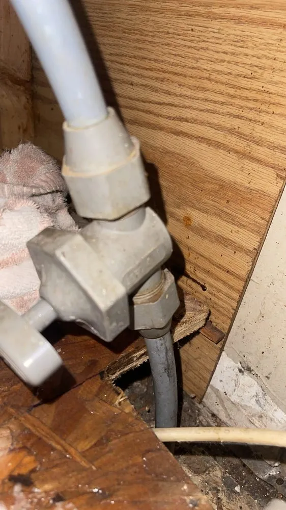 Slide of JP'S Gutter And Drain Cleaning Services