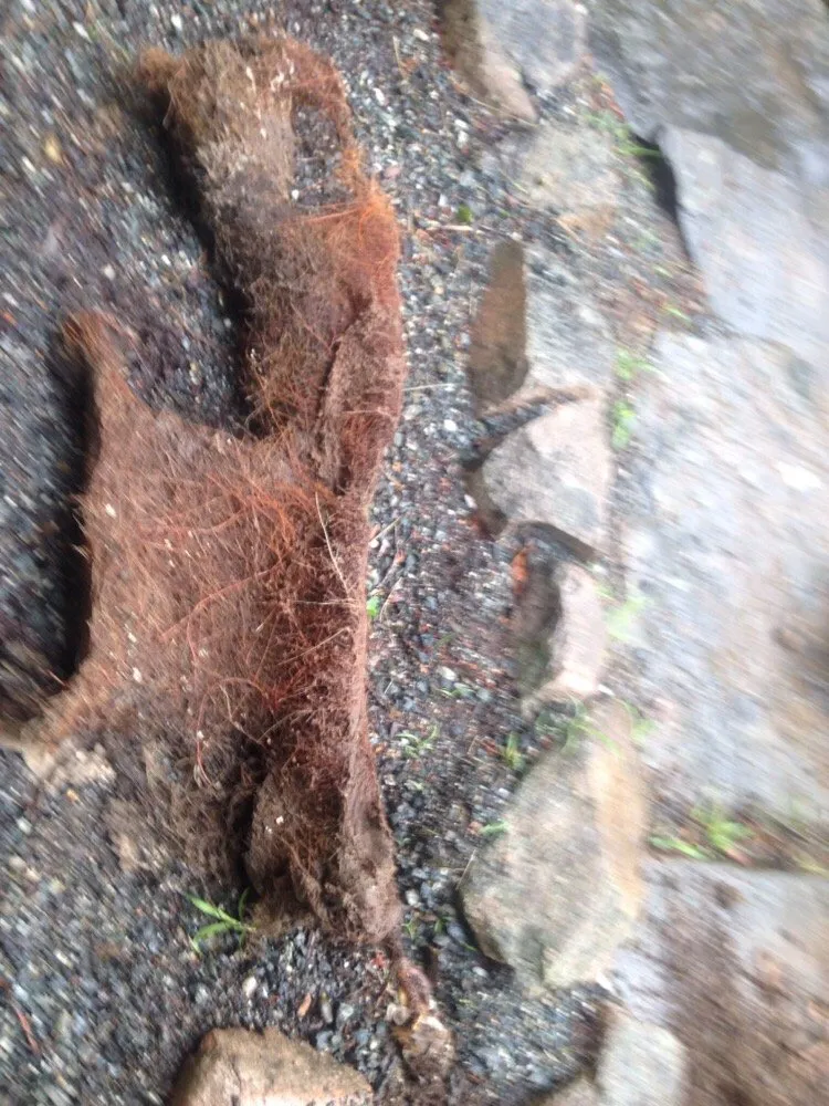 Quality plumbing repair for homes in Franklin, ME by J.R. Anderson & Daughter Sewer and Drain Services