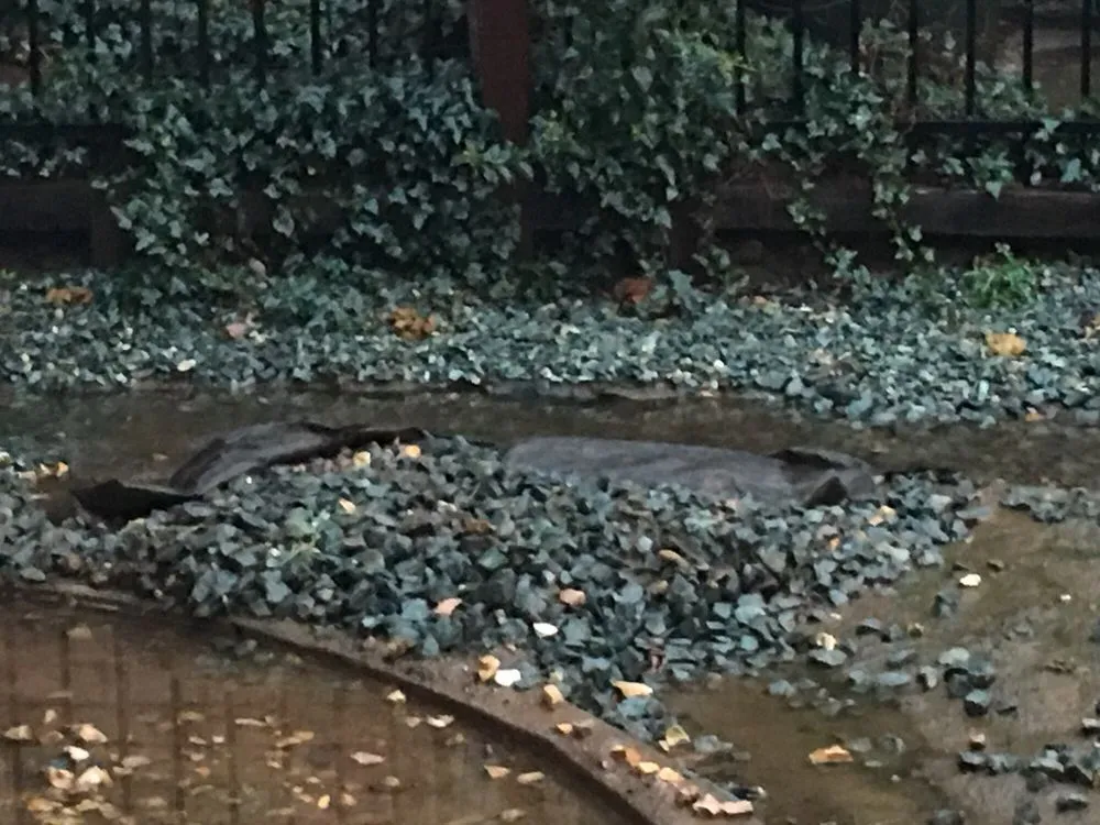 Top-rated drain cleaning service in Rancho Cordova, CA - JR Putman Plumbing, Heating and Air