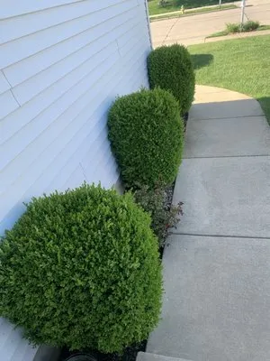 JT Constuctive Solutions