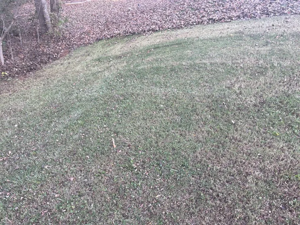 Slide of Juett Lawn Care & Services