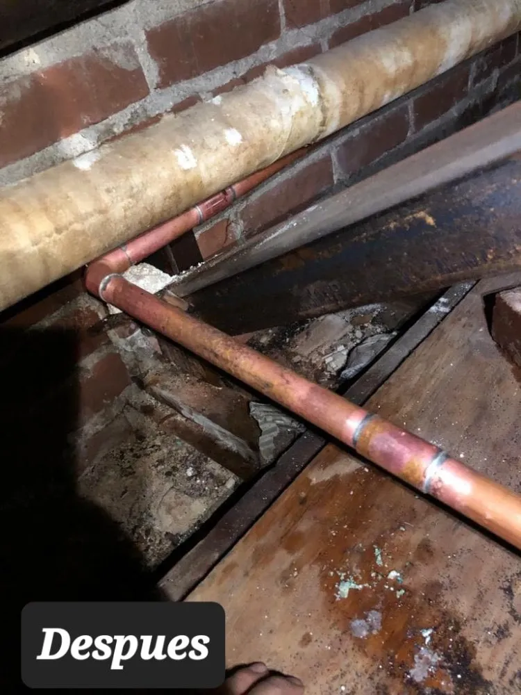 Affordable emergency plumbing for homes in South Gate, CA by Julian's Plumbing Service