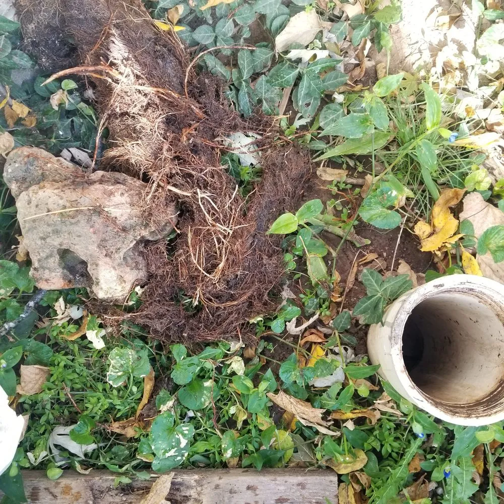 Slide of Junior's Plumbing