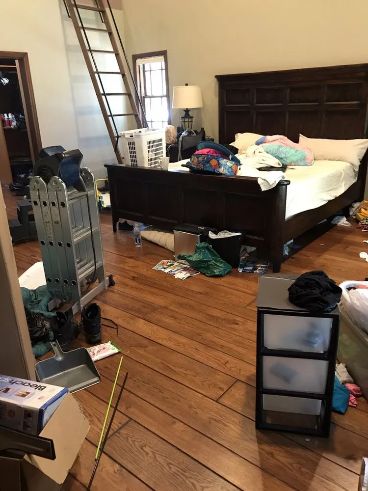 Slide of Just Call Friends