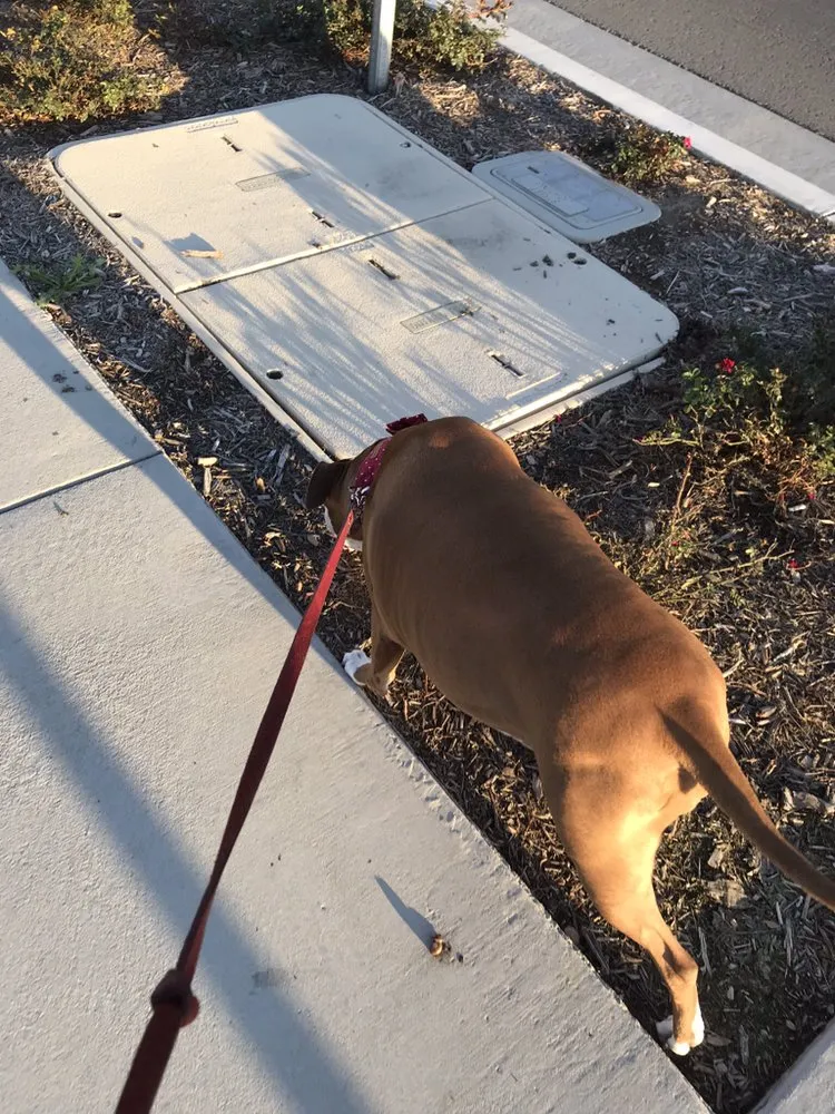 Professional leak detection for homes in Centerton, AR by Just Call Friends