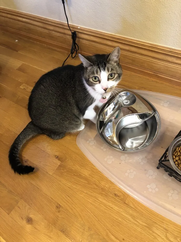 Professional plumbing repair service in Centerton, AR - Just Call Friends