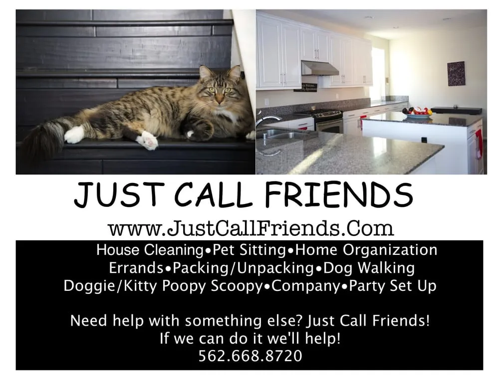 Slide of Just Call Friends