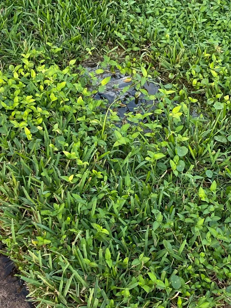 Slide of Just Get It Done Plumbing