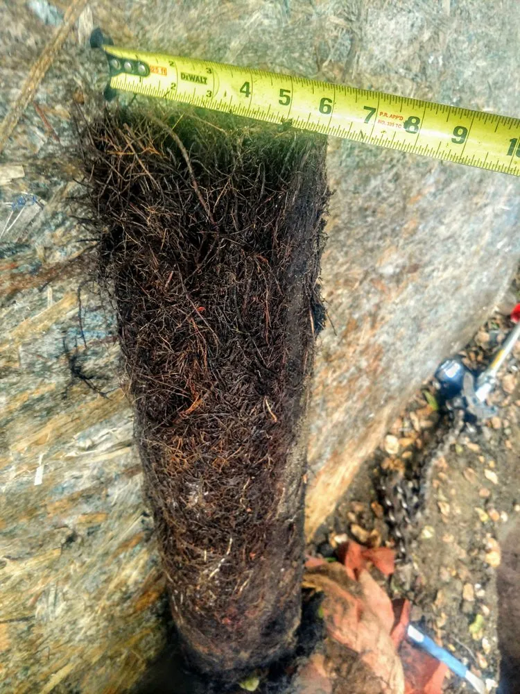 Reliable water heater service in Mountain View, CA by Just-In-Time Plumbing