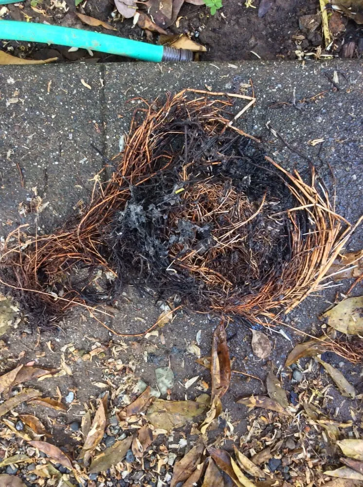 Slide of Just-In-Time Plumbing