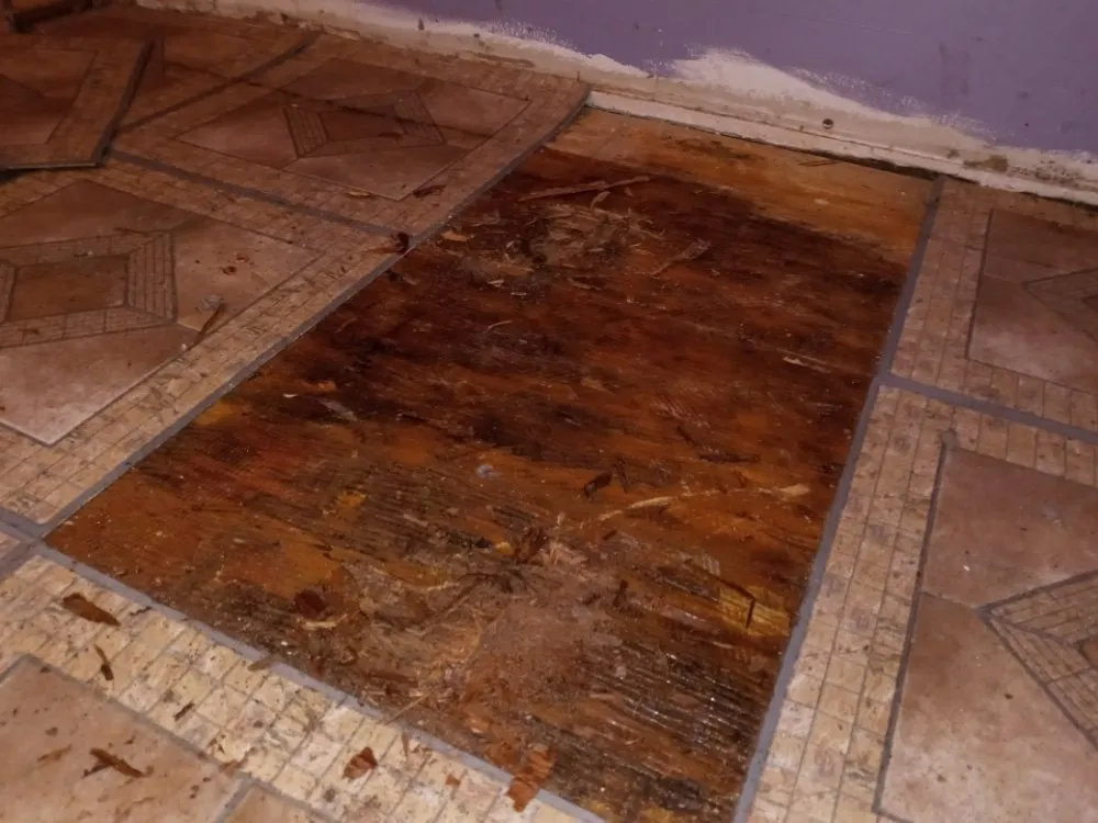 Slide of Just in Time PRO HANDYMAN