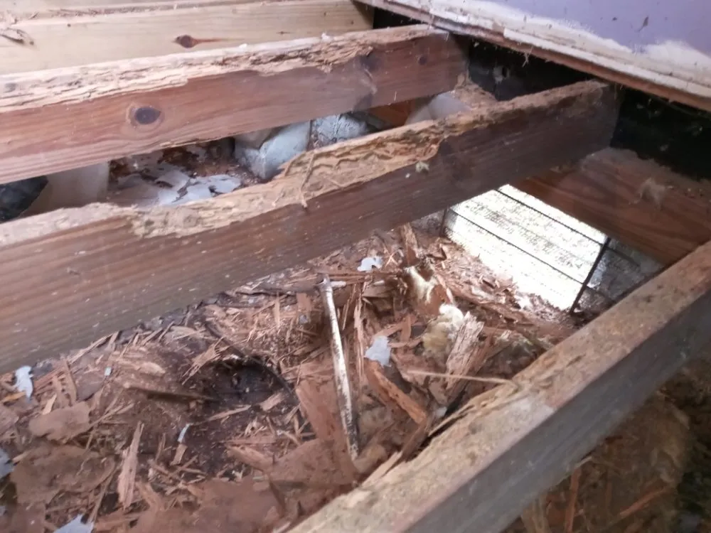 Slide of Just in Time PRO HANDYMAN