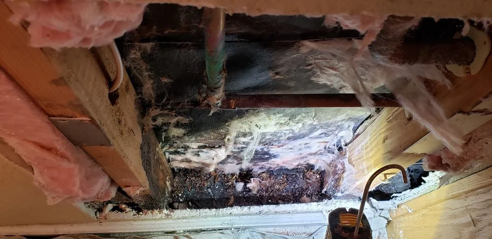 Slide of Just Plumbing Handyman