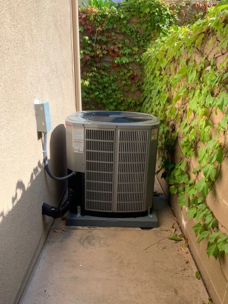 Quality drain cleaning experts serving Laguna Hills, CA - Just Right Services