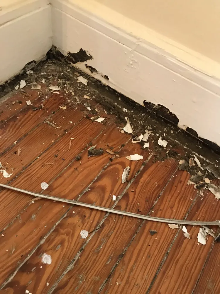 Slide of Just Service Pro