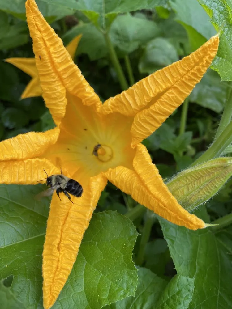 Slide of Just Small Jobs