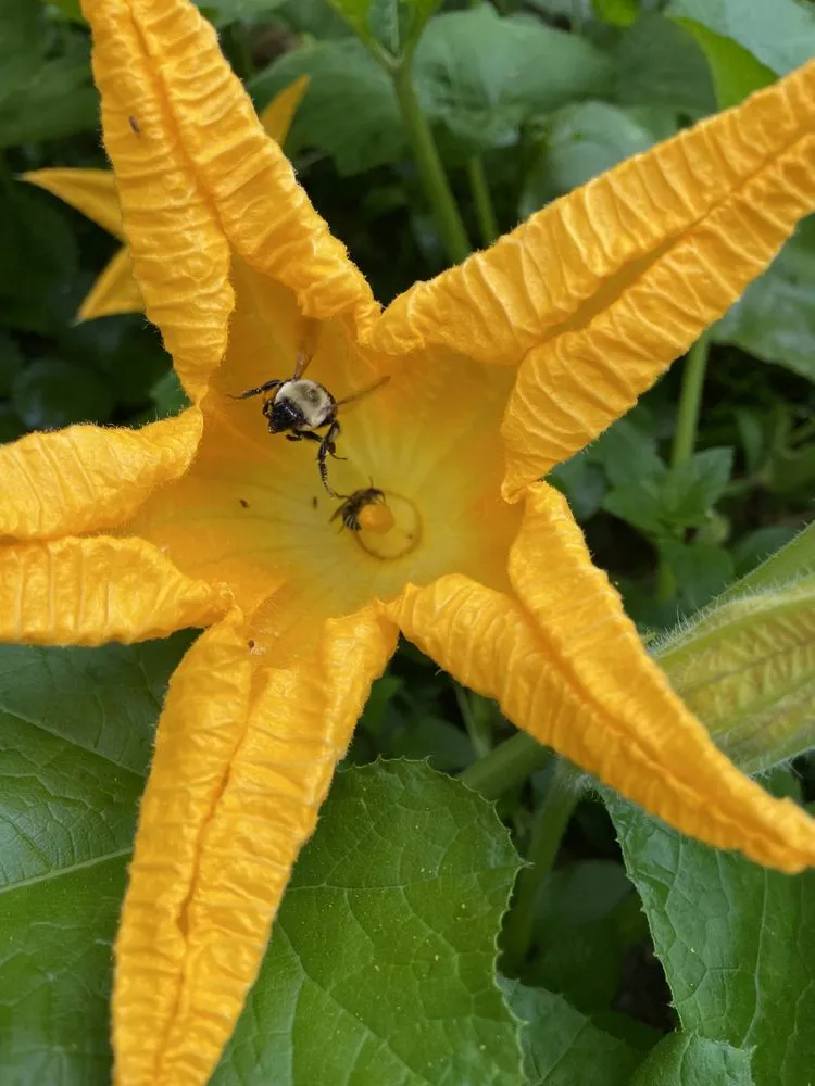 Slide of Just Small Jobs