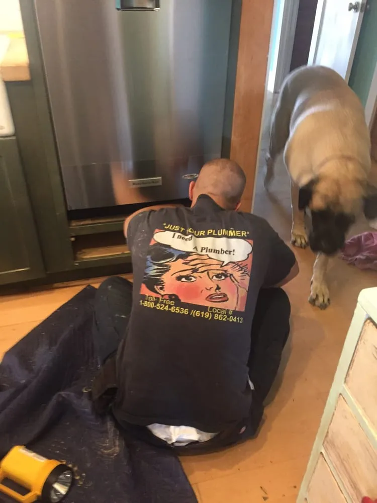 Slide of Just Your Plummer