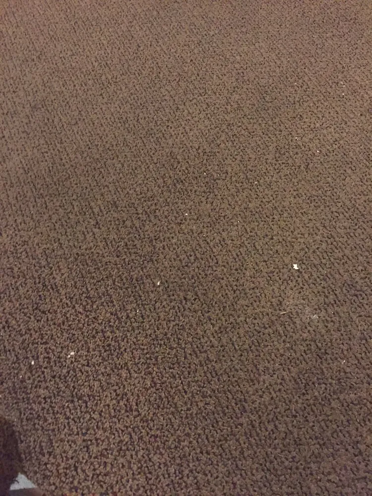 Slide of Just Your Plummer