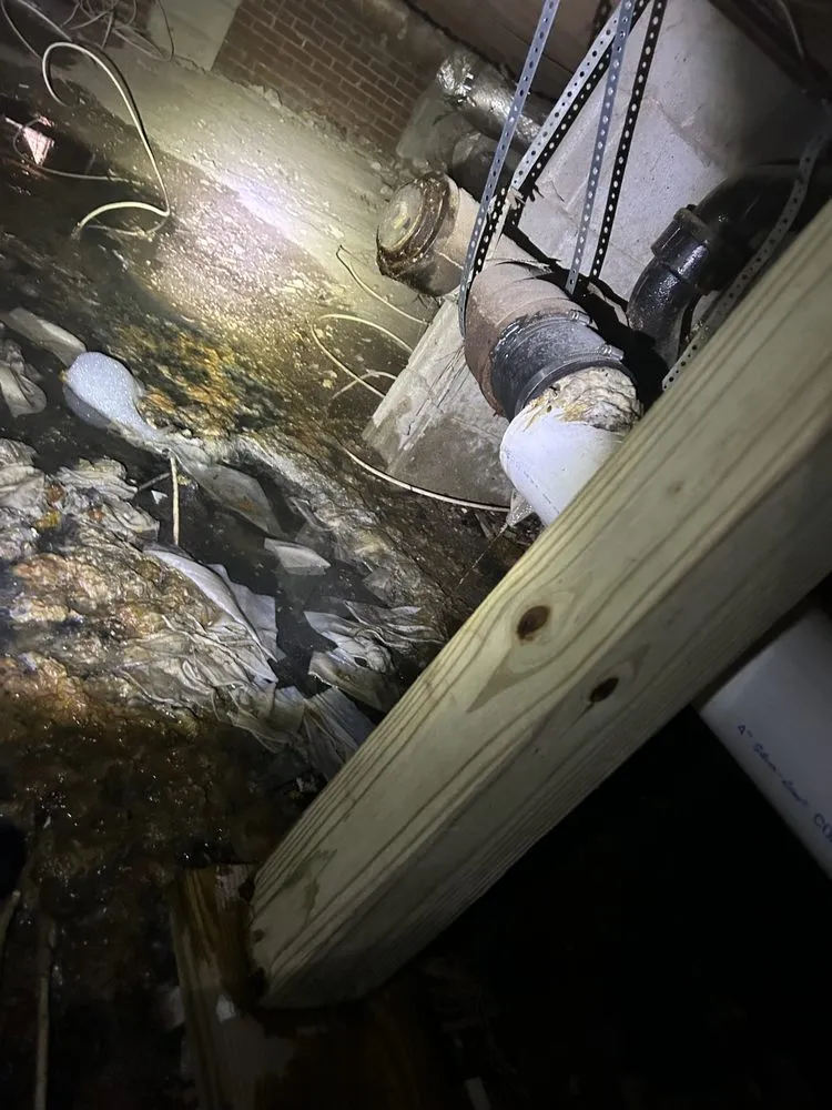 Slide of JustFlushIt Drain Cleaning and More