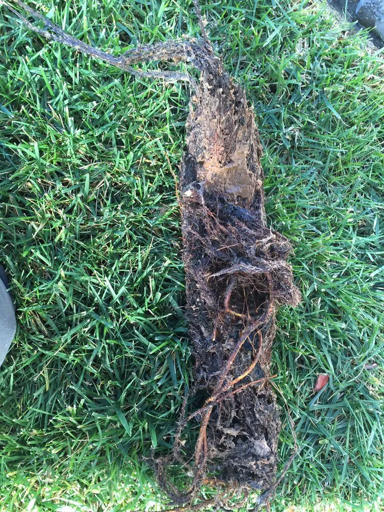 Emergency leak detection for homes in Costa Mesa, CA by JustinTime Plumbing Heating and Air