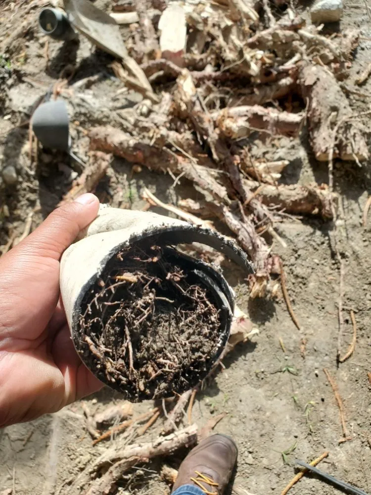 Slide of JV PLUMBING REPAIR/ROOTER DRAIN CLEANING