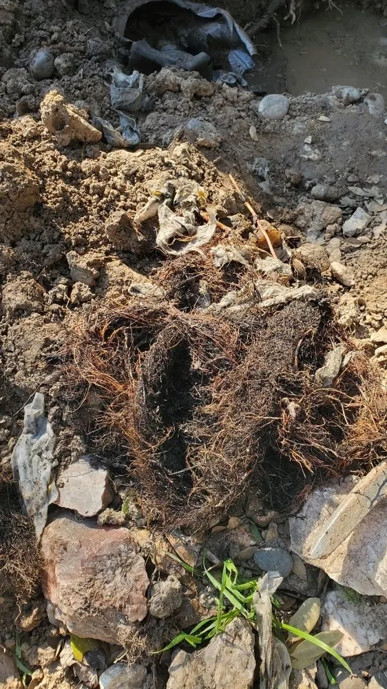 Slide of Jv Plumbing