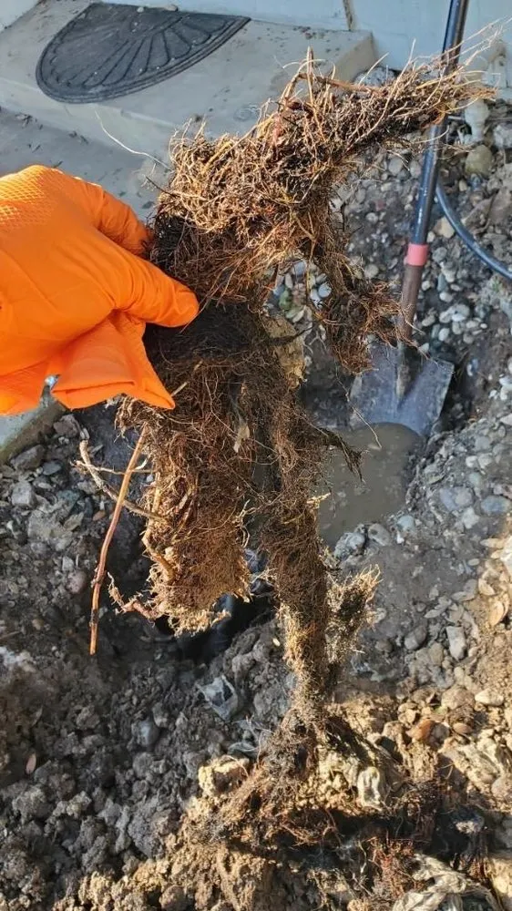 Slide of Jv Plumbing