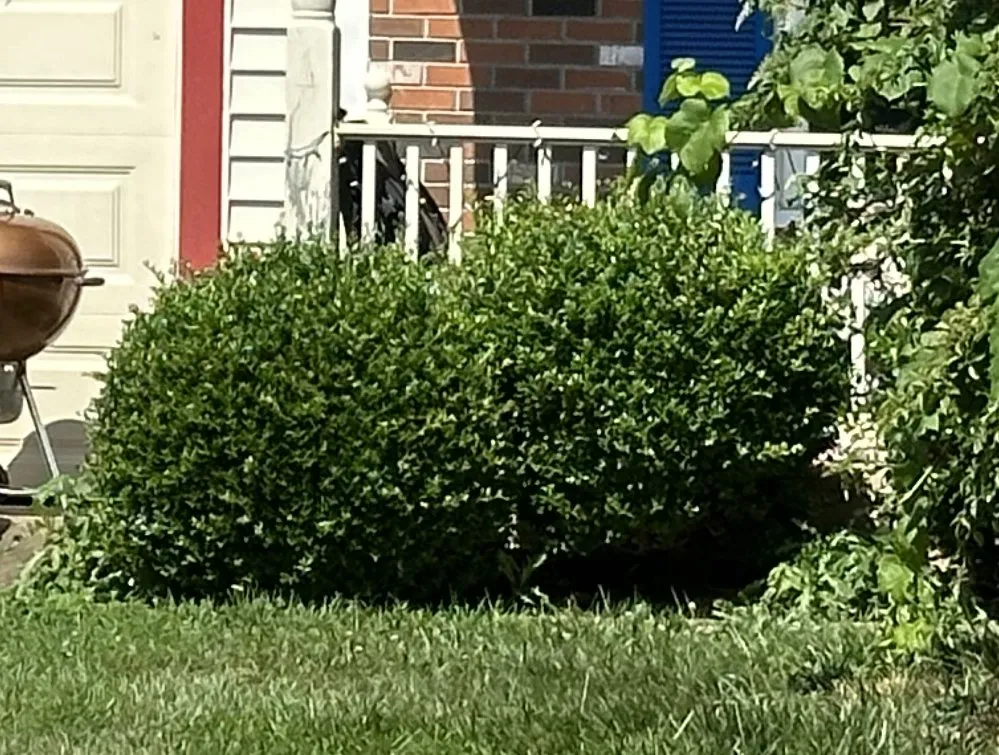 Slide of JVE General Expert Renovations