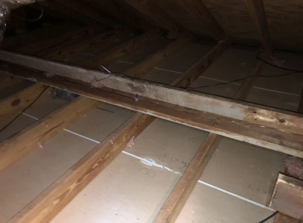 Slide of Jvla General Services