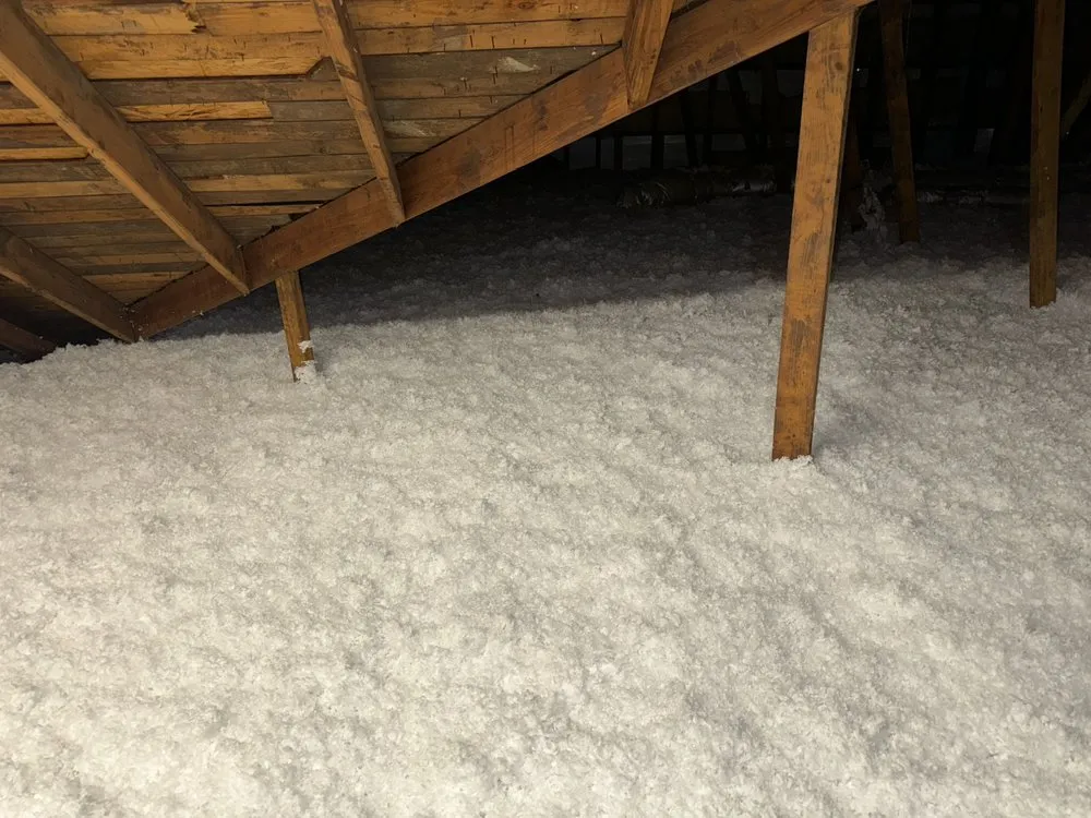 Slide of Jvla General Services