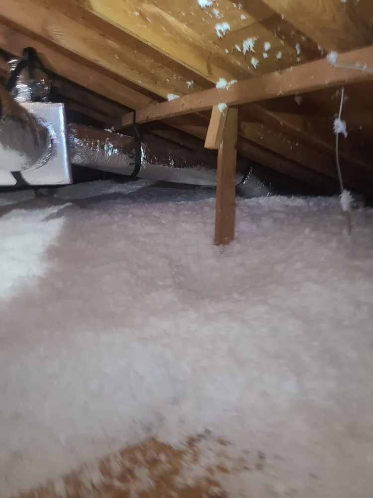 Slide of Jvla General Services