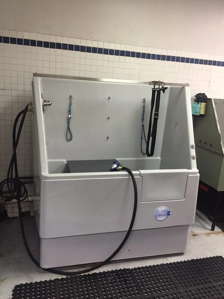 Affordable leak detection service in Caledonia, MI - K & S Plumbing