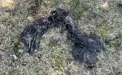 Trusted pipe repair experts serving Johnsburg, IL - K B I Plumbing and Drainage