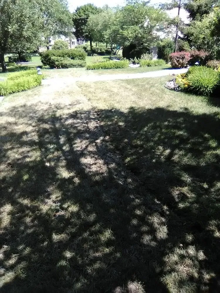 Emergency water heater service for homes in Johnsburg, IL by K B I Plumbing and Drainage