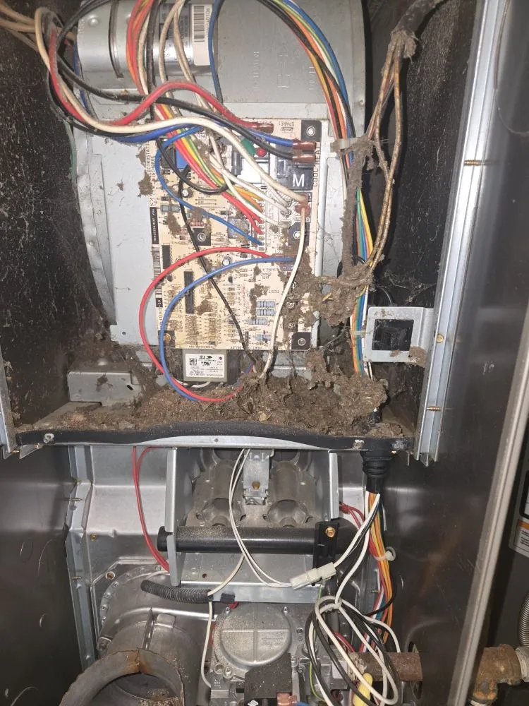 Top-rated leak detection service in Chesterfield, VA - K B Mechanical