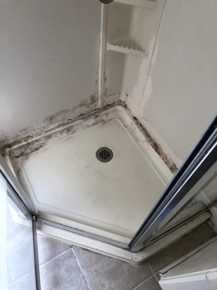 Reliable drain cleaning for homes in Hayward, CA by K2 Plumbing And Water Damage Services