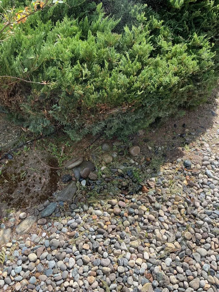 Slide of Kaiser Sewer Repair