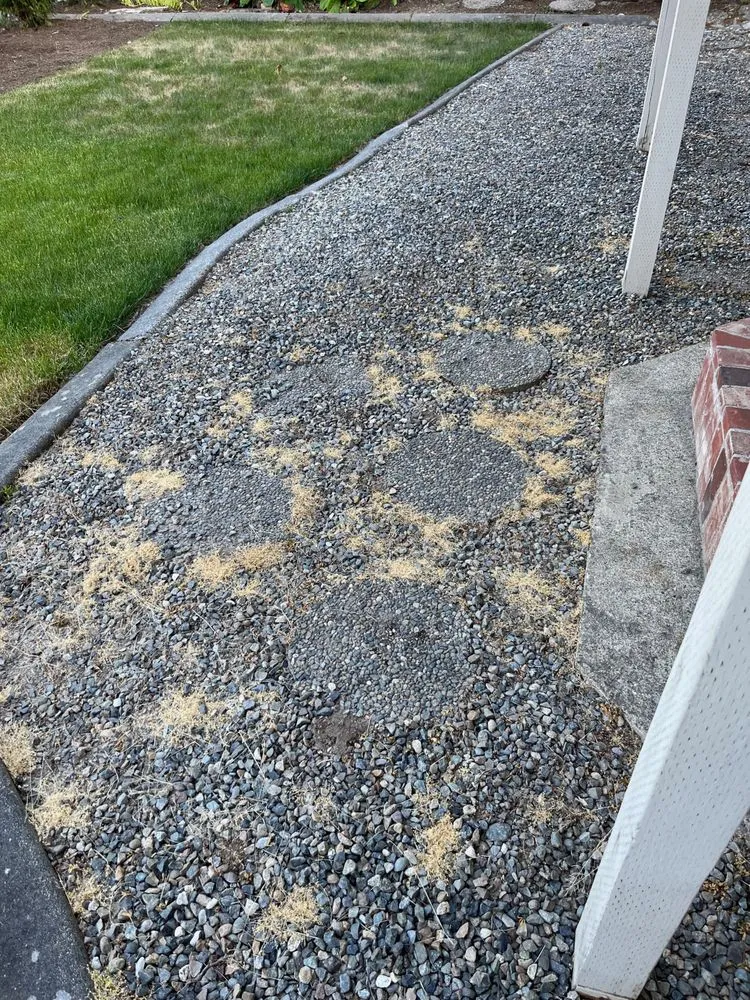 Slide of Kaiser Sewer Repair