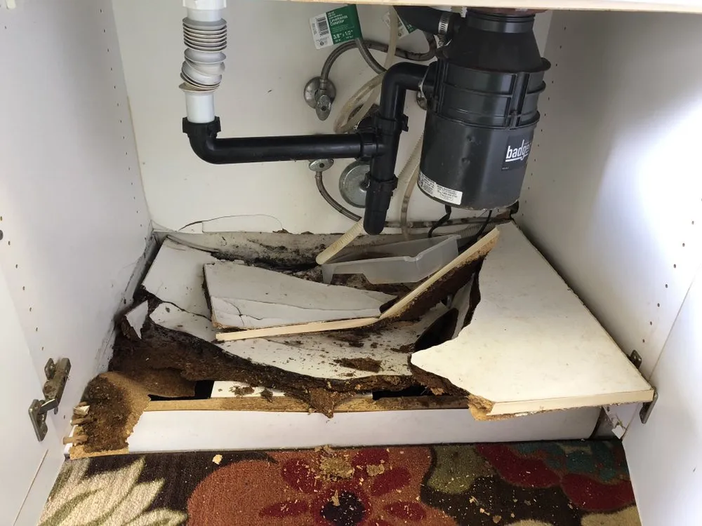 Slide of Kamaaina Home & Yard Service