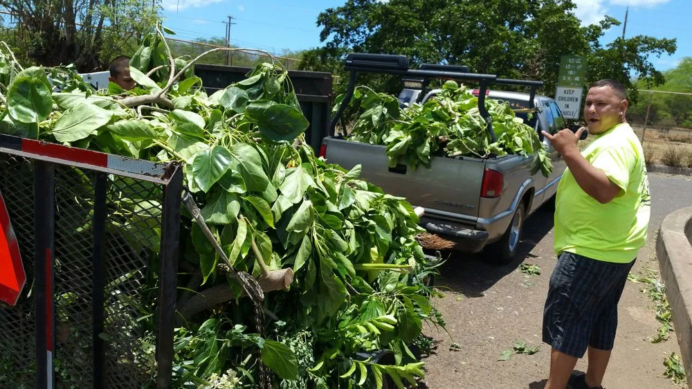 Slide of Kamaaina Home & Yard Service