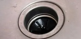 Slide of Kamaaina Rooter