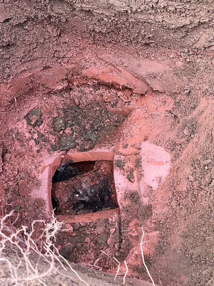 Slide of Kangarooter