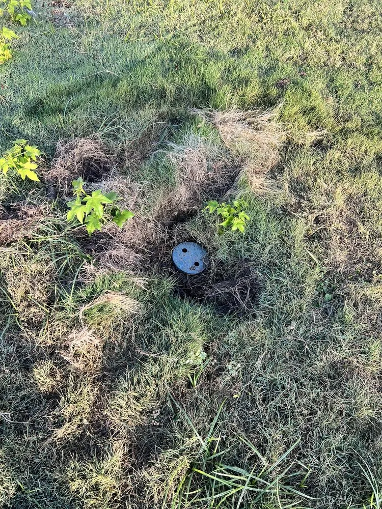 Slide of Kangarooter