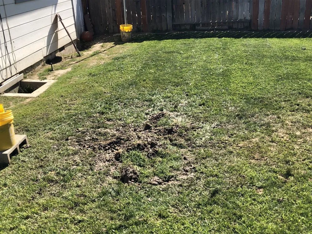 Slide of Kangarooter