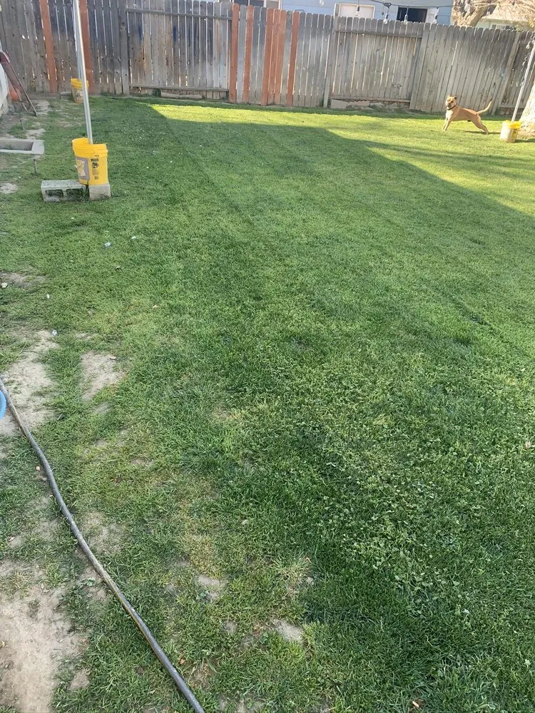 Slide of Kangarooter