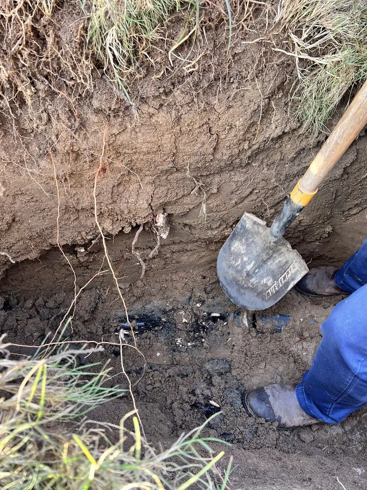 Slide of Kangarooter