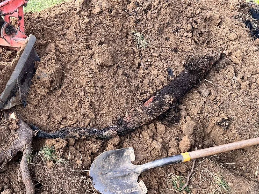 Slide of Kangarooter