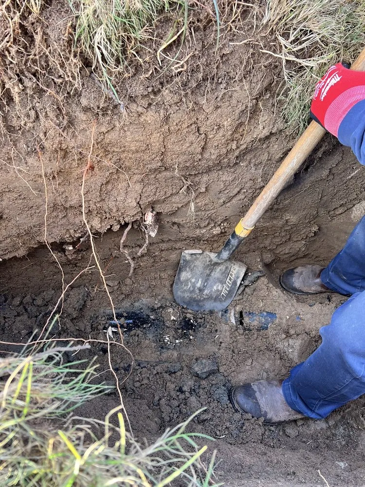 Slide of Kangarooter