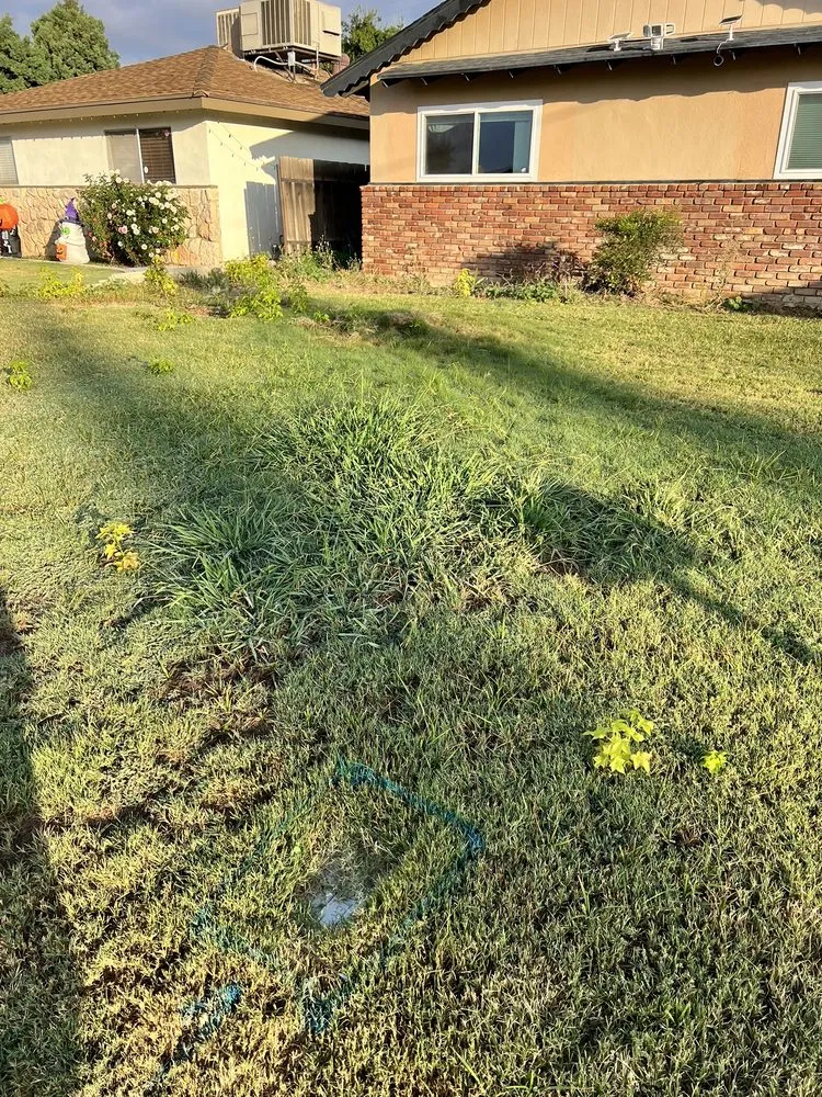 Slide of Kangarooter